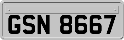 GSN8667