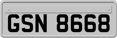 GSN8668