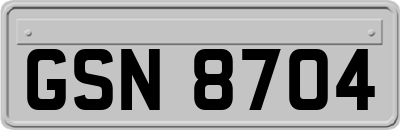 GSN8704