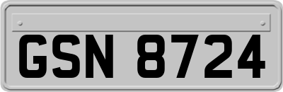 GSN8724