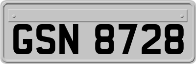 GSN8728