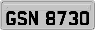 GSN8730