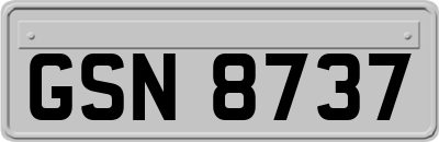 GSN8737