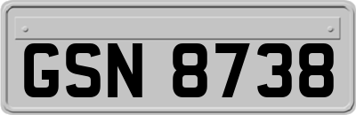 GSN8738
