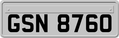 GSN8760