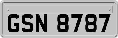 GSN8787
