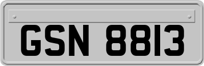 GSN8813