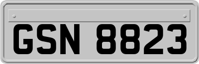 GSN8823