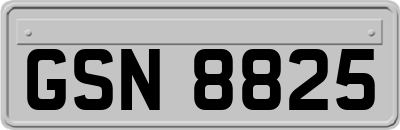 GSN8825