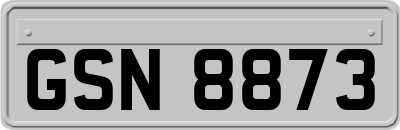 GSN8873