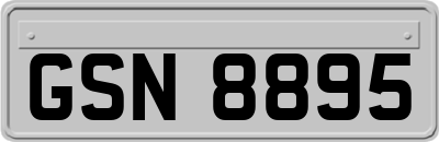 GSN8895
