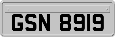 GSN8919