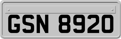 GSN8920