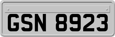 GSN8923