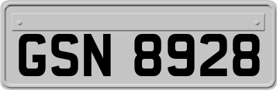 GSN8928