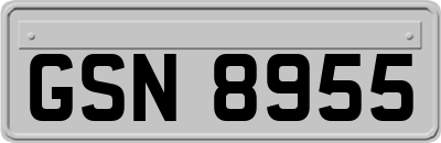 GSN8955