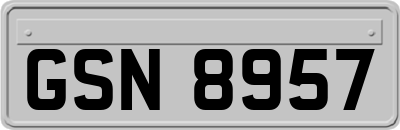 GSN8957