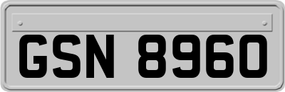 GSN8960