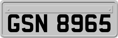 GSN8965