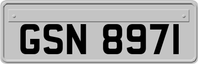 GSN8971