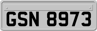 GSN8973