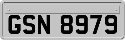 GSN8979
