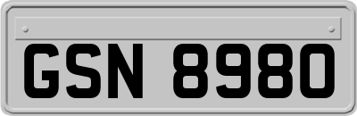 GSN8980
