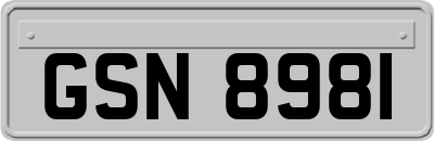 GSN8981