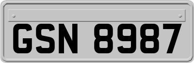GSN8987