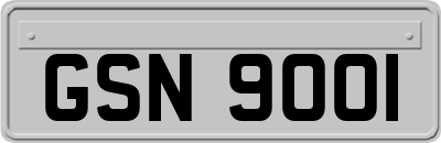 GSN9001