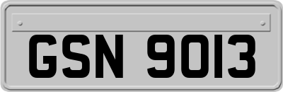 GSN9013