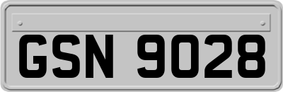 GSN9028