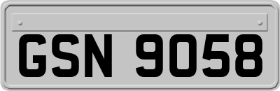 GSN9058