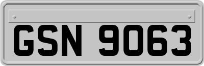 GSN9063
