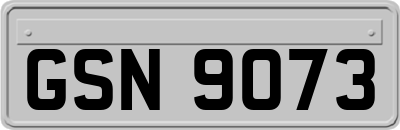 GSN9073