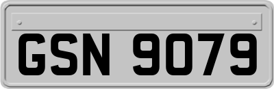 GSN9079