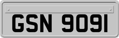 GSN9091