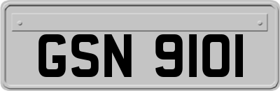 GSN9101