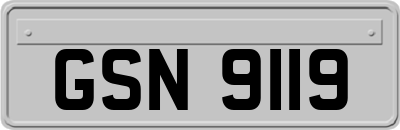 GSN9119