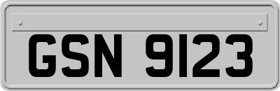 GSN9123
