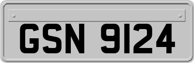 GSN9124