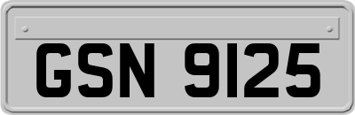 GSN9125