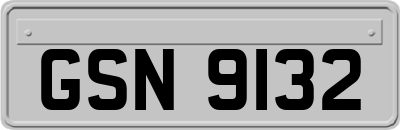 GSN9132