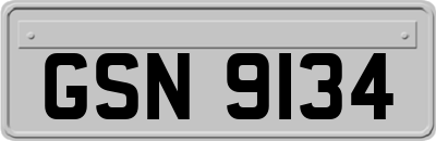 GSN9134