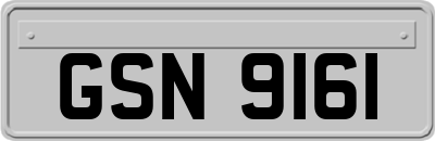 GSN9161