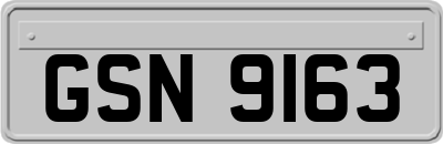 GSN9163