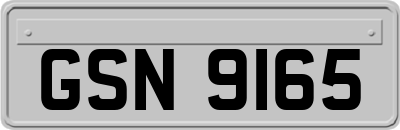 GSN9165