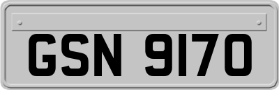 GSN9170