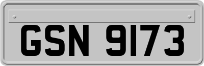 GSN9173