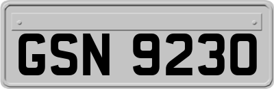 GSN9230